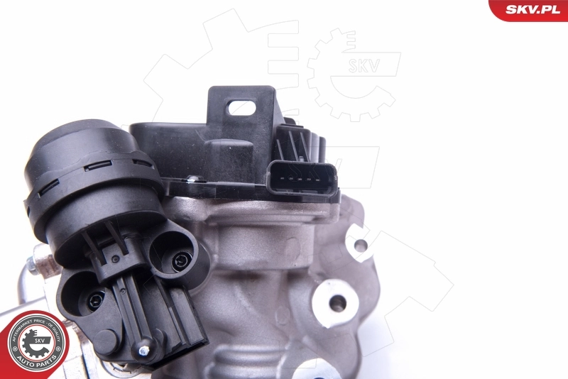 EGR Valve